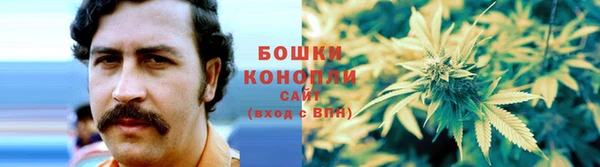 героин Богданович