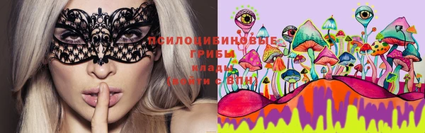 героин Богданович