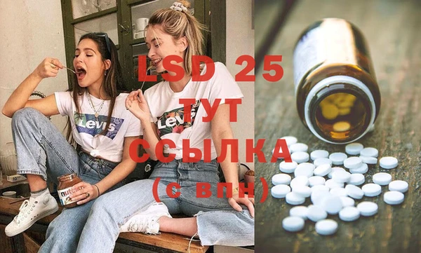 соль ск Богородицк