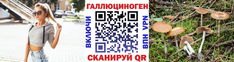 кракен как войти  Ельня  Галлюциногенные грибы Cubensis 